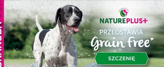 grain free