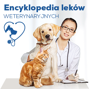 Encyklopedia leków 300x300