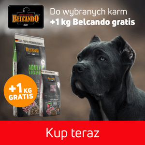 Promocja BELCANDO worek 1 kg w zestawie GRATIS