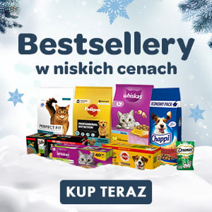 2025-01-08 - BESTSELLERY w niskich cenach