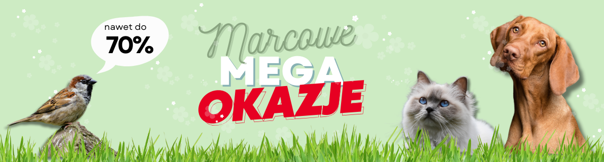 2025-02-28-  MEGA OKAZJE 2025 -