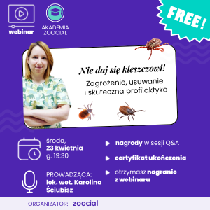Webinar