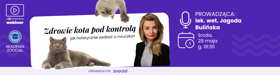 Webinar o zdrowiu kotów