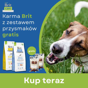 2025-05-12- BRIT do wybranych produktów przysmaki WOOLF gratis