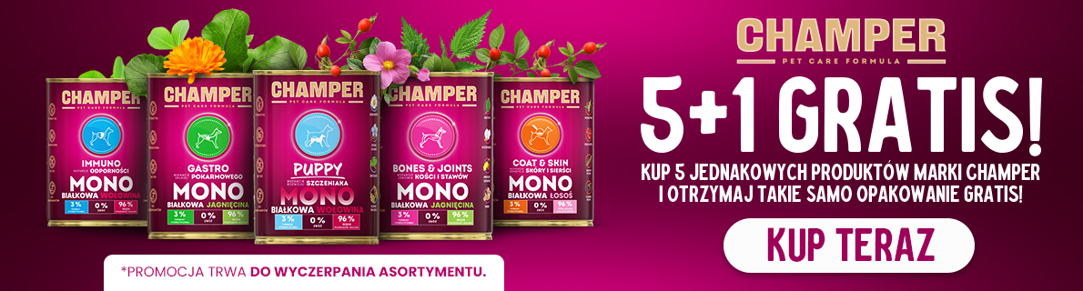 Promocja CHAMPER karma mokra dla psa 5+1 GRATIS