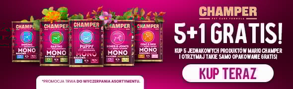 Promocja CHAMPER karma mokra dla psa 5+1 GRATIS