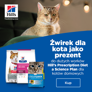 Promocja HILL'S Science Plan and Prescription Diet Big bag + koci żwirek ODOURLOCK 6kg GRATIS