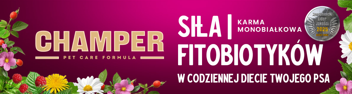 Grafika 1