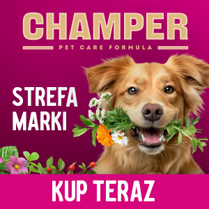 Champer strefa marki