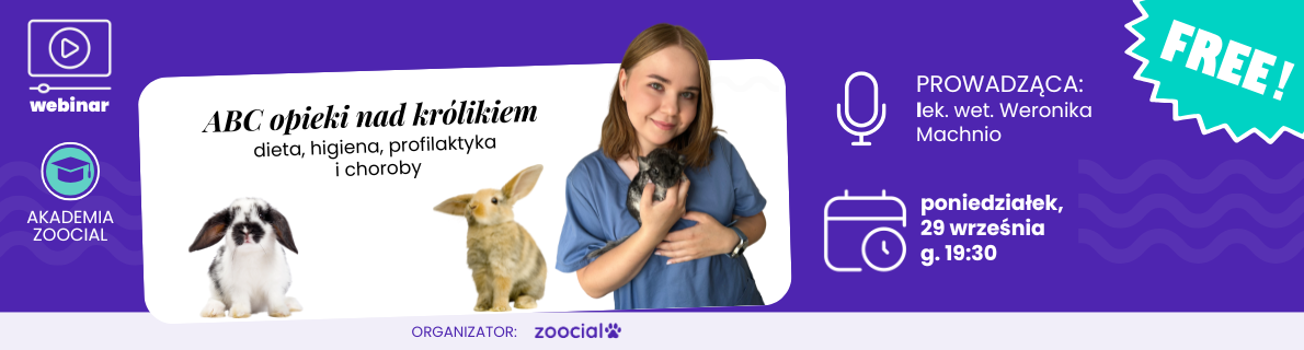ABC opieki nad królikiem - webinar