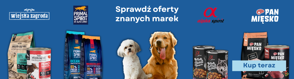 Sprawdź ofertę znanych marek