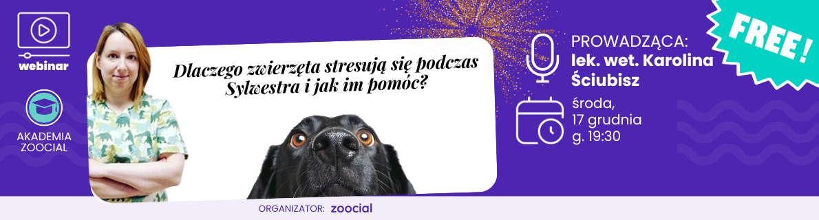 Webinar: przygotuj psa i kota na Sylwestra