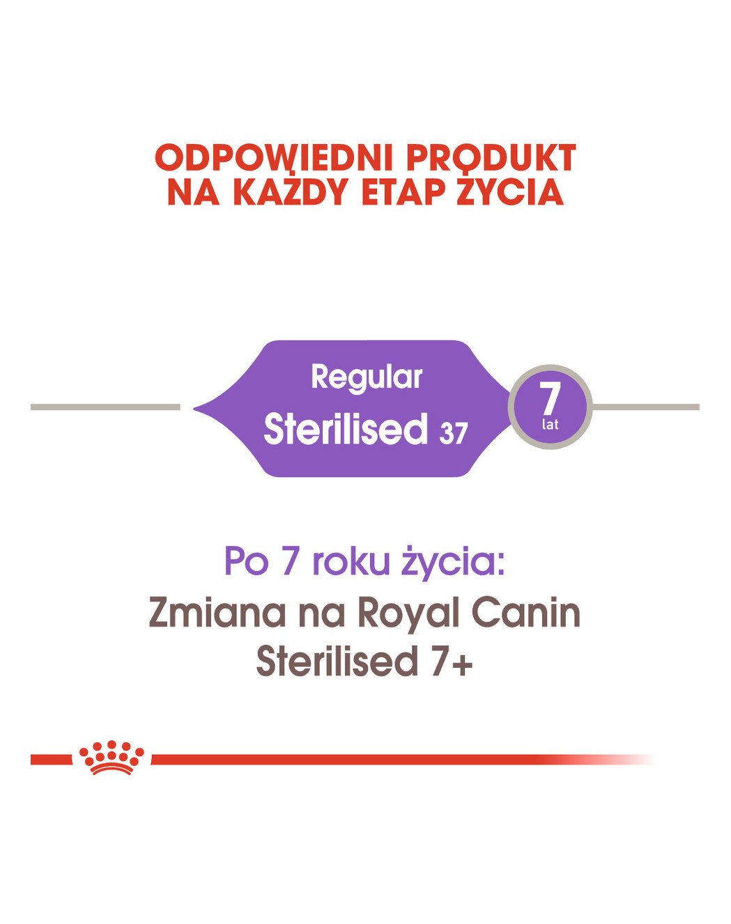 karma royal canin sterilised 37