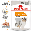 Coat Care karma mokra - pasztet dla psów dorosłych o matowej sierści 12 x 85 g