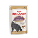 ROYAL CANIN British Shorthair karma mokra w sosie dla kotów dorosłych rasy brytyjski krótkowłosy 24x85 g