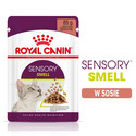 ROYAL CANIN Sensory Smell gravy 24x85 g kawałki w sosie dla kotów dorosłych pobudzające wrażenia węchowe
