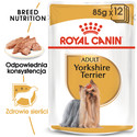 ROYAL CANIN Breed Mini Yorkshire 24 x 85 g
