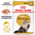 ROYAL CANIN Persian Adult 24x85 g karma mokra - pasztet, dla kotów dorosłych rasy perskiej