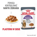 ROYAL CANIN Appetite Control Gravy 44x85 g mokra karma dla dorosłych kotów z nadmiernym apetytem