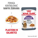 ROYAL CANIN Appetite Control Jelly 24x85 g mokra karma dla dorosłych kotów z nadmiernym apetytem