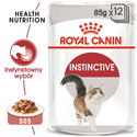 ROYAL CANIN Instinctive 24x85 g w sosie karma mokra w sosie dla kotów dorosłych, wybrednych