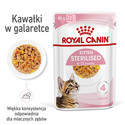 ROYAL CANIN Kitten Sterilised  w galaretce 48 x 85 g