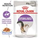 ROYAL CANIN Sterilised w galaretce karma mokra w galaretce dla kotów dorosłych, sterylizowanych 24 x 85 g