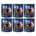 BRIT Premium by Nature 6x800 g wieprzowina i przełyk naturalna karma dla psa
