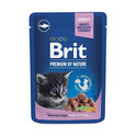 PREMIUM Pouch White Fish Kitten 24x100g z białą rybą dla kociąt