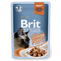 Premium Cat Fillets in Gravymokra karma z indykiem dla kotów 24x85 g