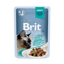 Premium Cat Fillets in Gravy mokra karma z wołowiną dla kota 24x85 g