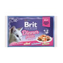 Premium Cat pouch jelly fillet Dinner plate Saszetki w galaretce dla kotów, mix smaków 340 g (4x85 g)