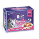 Premium Cat pouch jelly fillet Dinner plate Saszetki w galaretce dla kotów, mix smaków 1,2 kg (12x85 g)
