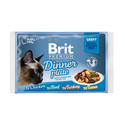 Premium Cat pouch gravy fillet Dinner plate Saszetki w sosie dla kotów, mix smaków 340 g (4x85 g)