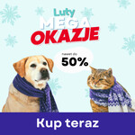 MEGA OKAZJE luty