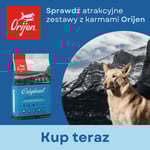 Promocja ORIJEN do wybranych zestawów produkty GRATIS