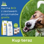 Promocja BRIT do wybranych produktów przysmaki WOOLF gratis