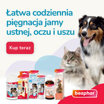 Promocja BEAPHAR Dental -15% na wybrane produkty