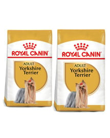 ROYAL CANIN Yorkshire Terrier Adult 15 kg (2 x 7.5 kg) karma sucha dla psów dorosłych rasy yorkshire terrier