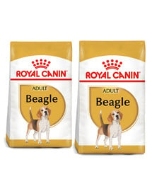 ROYAL CANIN Beagle Adult 24 kg (2 x 12 kg) karma sucha dla psów dorosłych rasy beagle