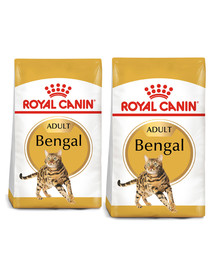 ROYAL CANIN Bengal Adult karma sucha dla kotów dorosłych rasy bengal 20 kg (2 x 10 kg)