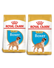 ROYAL CANIN Boxer Puppy Junior 24 kg (2 x 12 kg) sucha karma dla szczeniąt do 15 miesiąca, rasy boxer