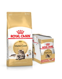 ROYAL CANIN Maine Coon Adult 10 kg + mokra karma Mainecoon 12x85 g dla kotów rasy maine coon