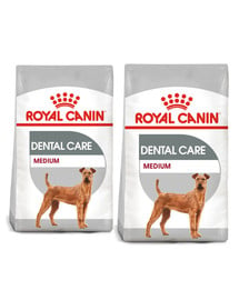 ROYAL CANIN CCN Medium Dental Care karma sucha dla psów dorosłych, ras średnich, redukująca powstawanie kamienia nazębnego 20 kg (2 x 10 kg)