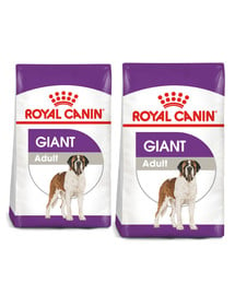 ROYAL CANIN Giant Adult 30 kg (2 x 15kg) karma sucha dla psów dorosłych, od 18/24 miesiąca życia, ras olbrzymich