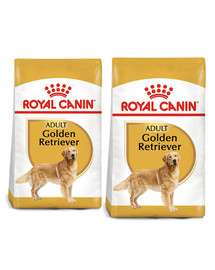 ROYAL CANIN Golden retriever adult 24 kg (2 x 12 kg) karma sucha dla psów dorosłych rasy golden retriever