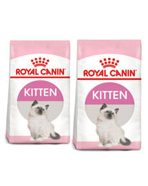 ROYAL CANIN Kitten 20 kg (2 x 10 kg) karma sucha dla kociąt od 4 do 12 miesiąca życia
