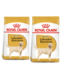 ROYAL CANIN Labrador retriever adult 24 kg (2 x 12 kg) karma sucha dla psów dorosłych rasy labrador retriever