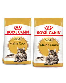ROYAL CANIN Maine Coon Adult karma sucha dla kotów dorosłych rasy maine coon 20 kg (2 x 10 kg)