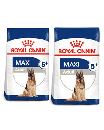 ROYAL CANIN Maxi Adult 5+ 30 kg (2 x 15 kg) karma sucha dla psów starszych, od 5 do 8 roku życia, ras dużych